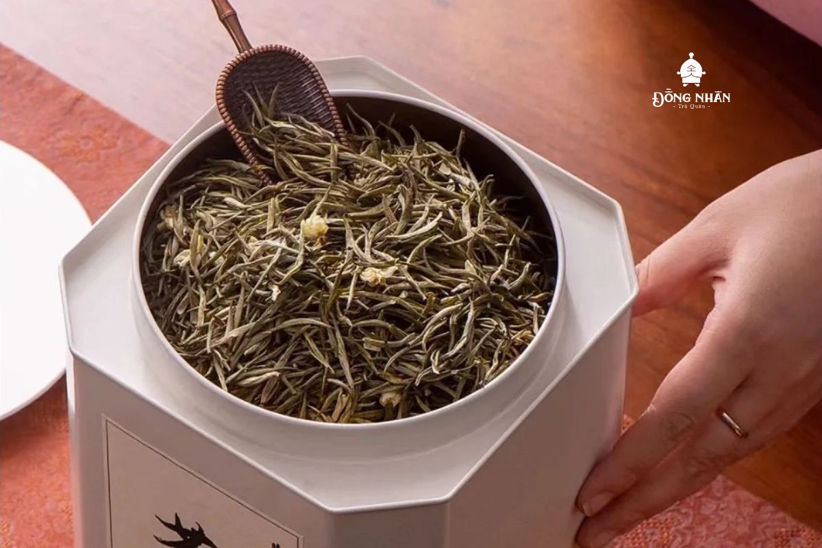 BẢO QUẢN TRÀ ĐÚNG CÁCH
